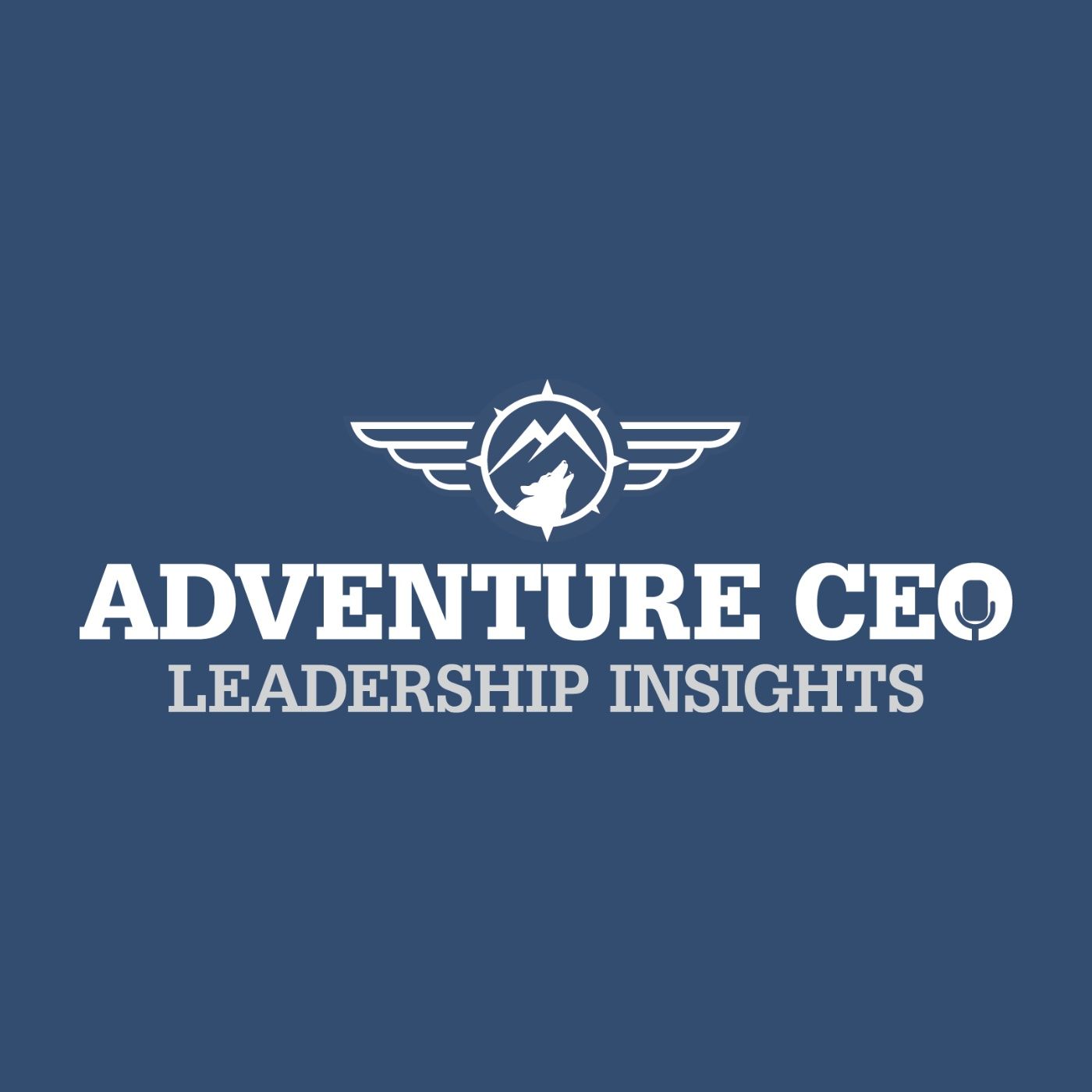 ACEO Leadership Insights podcast artwork