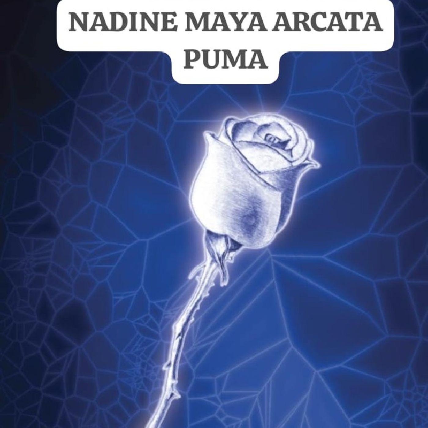 Episodio 1 - El podcast de NADINE MAYA ARCATA PUMA episode artwork