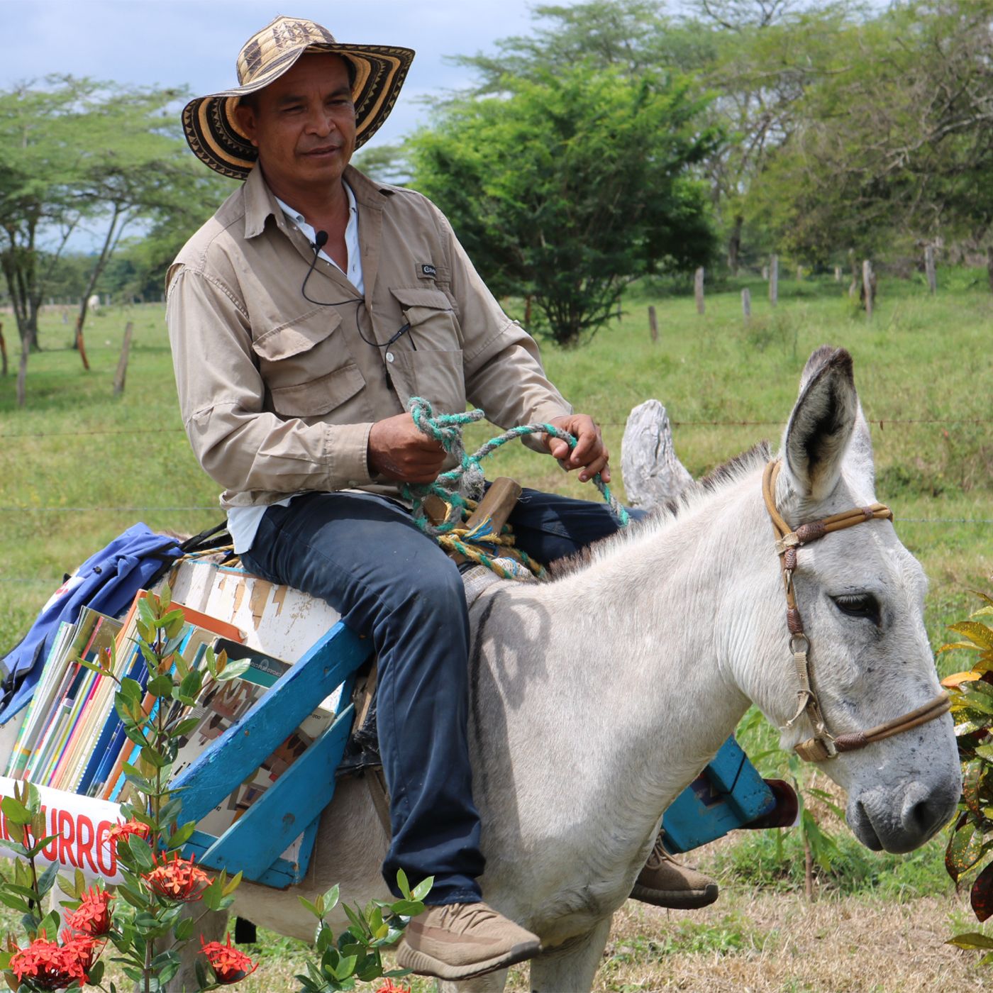 Mejor Colombia
