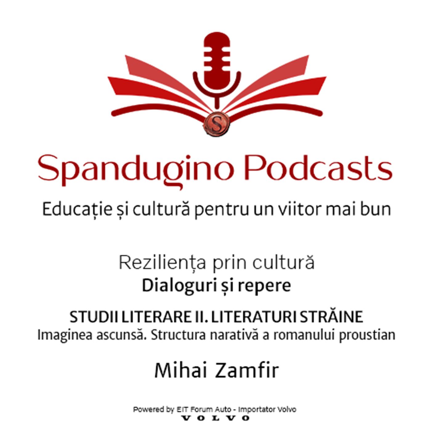 Reziliență prin cultură. Mihai Zamfir - STUDII LITERARE II. LITERATURI STRĂINE | Imaginea ascunsă