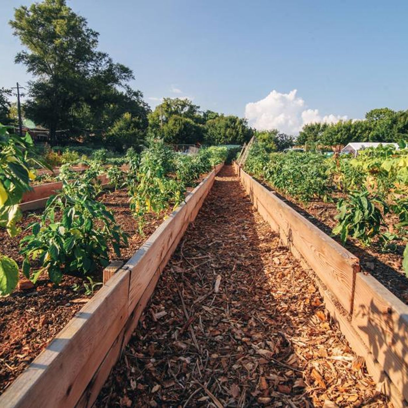 Food Well Alliance Presents The City Of Lawrenceville $10,000 For A New Community Garden