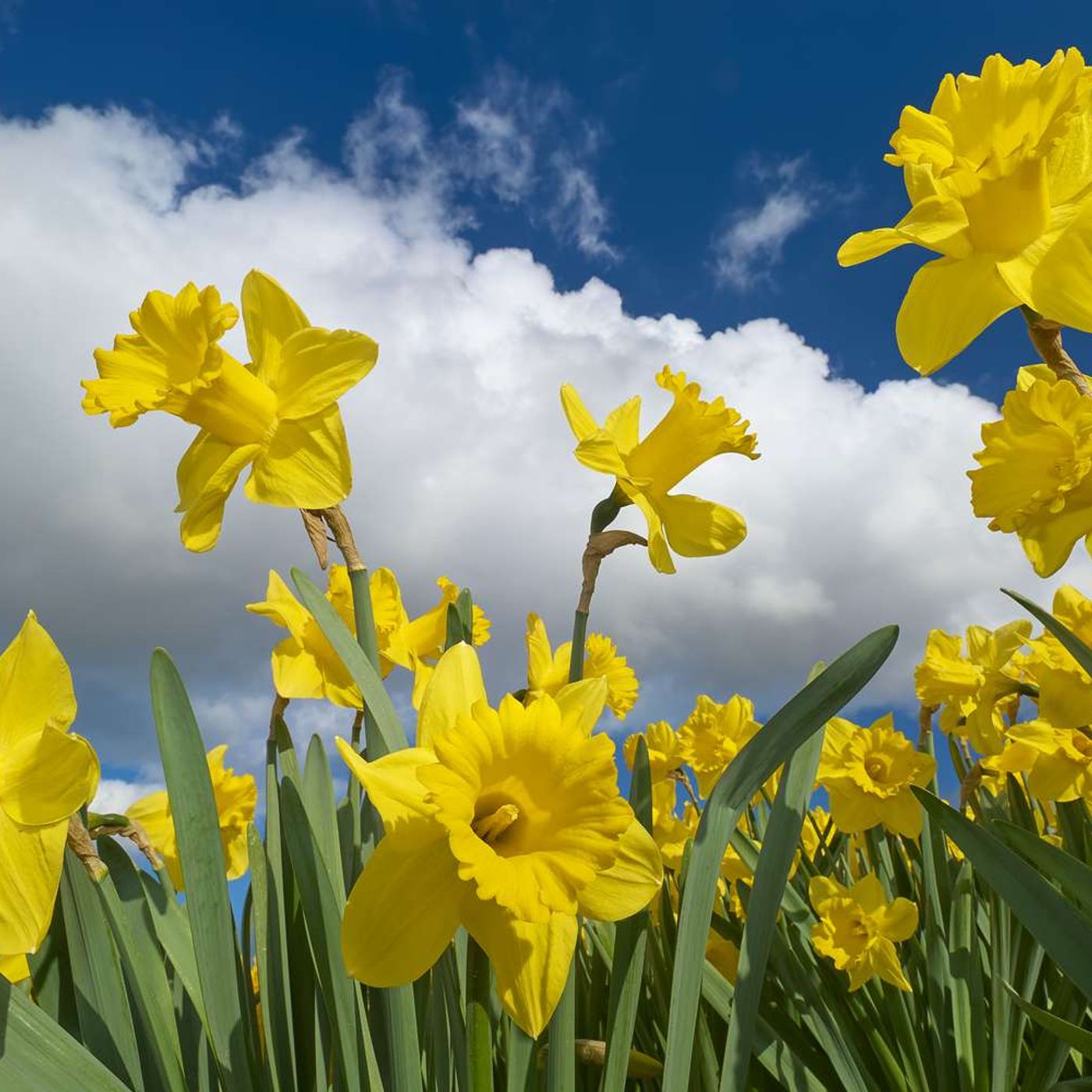 Il weekend del 13/15 Marzo 2026 Il weekend del 13/15 Marzo 2026