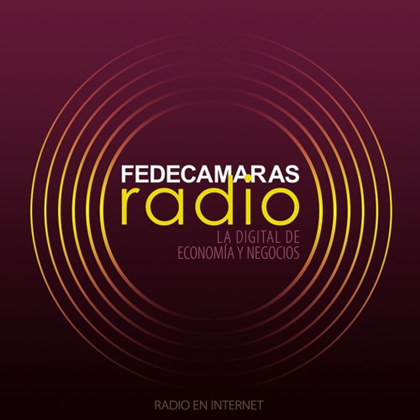 Delitos Informáticos Entrevista Raymond Orta en Tecnofinanzas Fedecámaras Radio