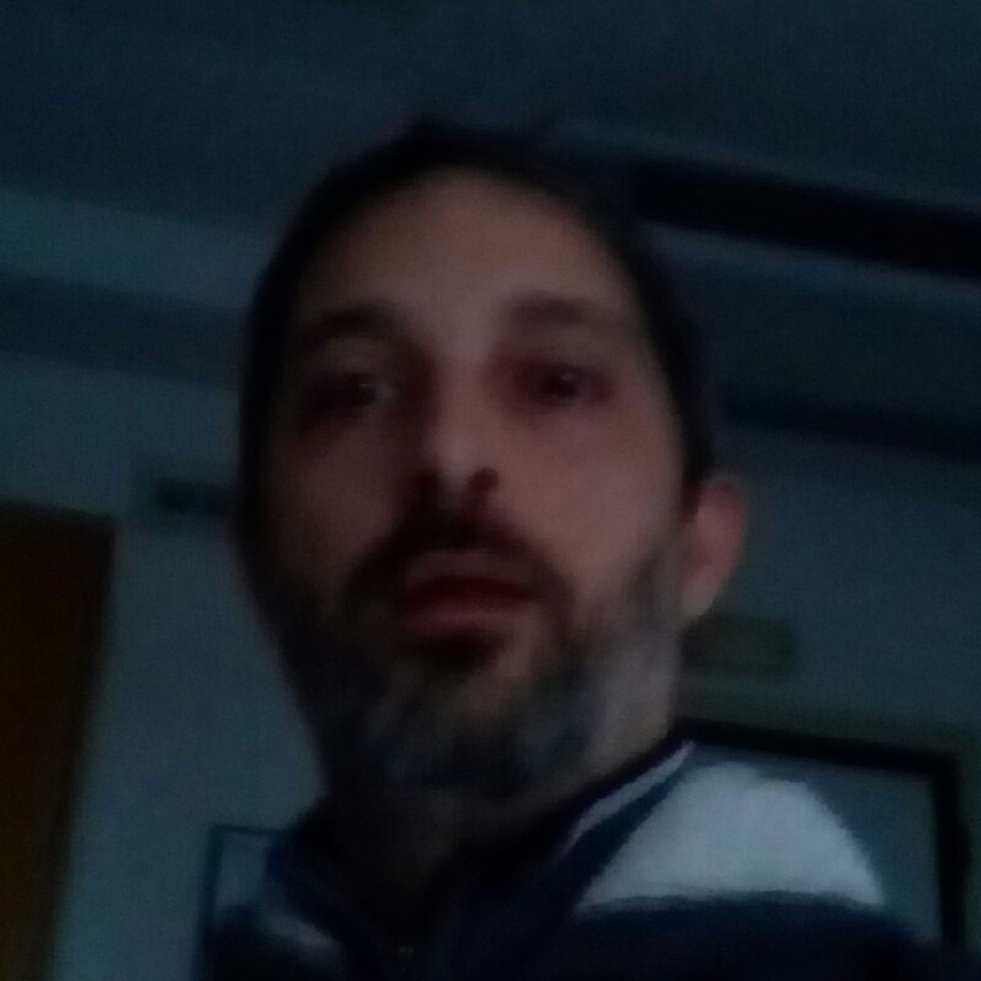 Lo show di stefano ippolito