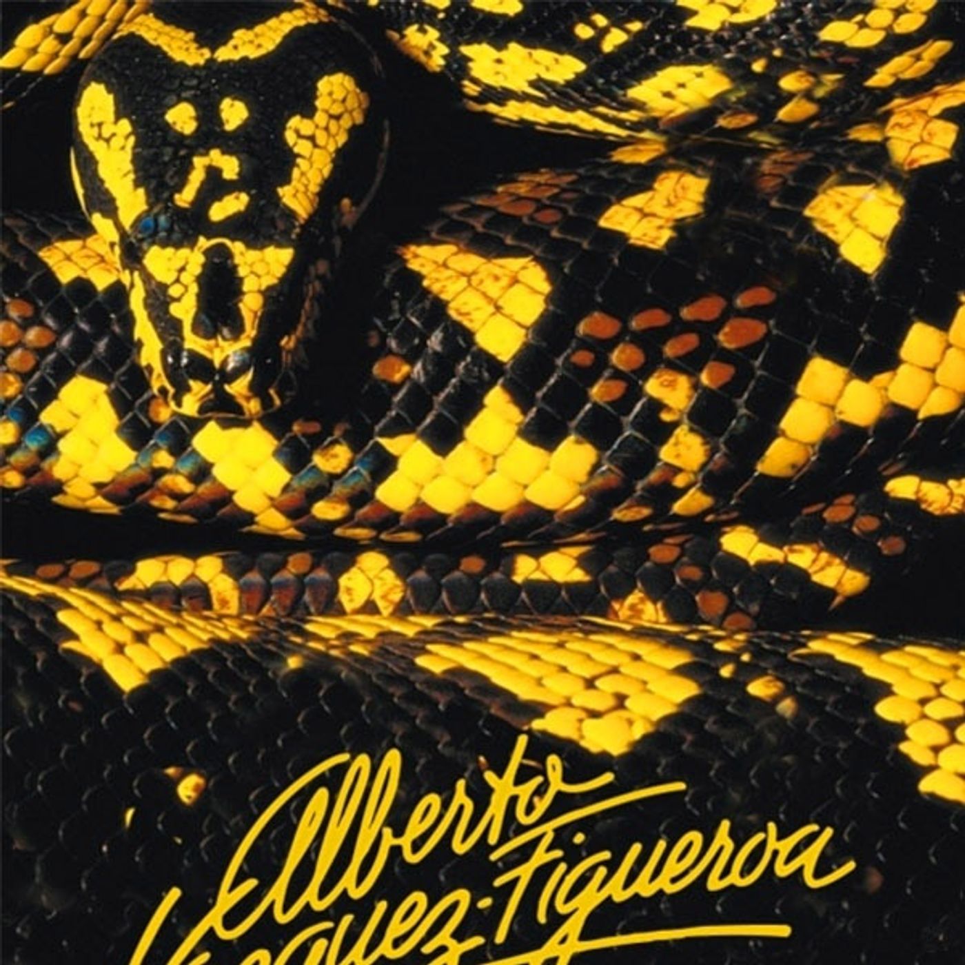 (Resumen) Xaragua - Alberto Vazquez-Figueroa