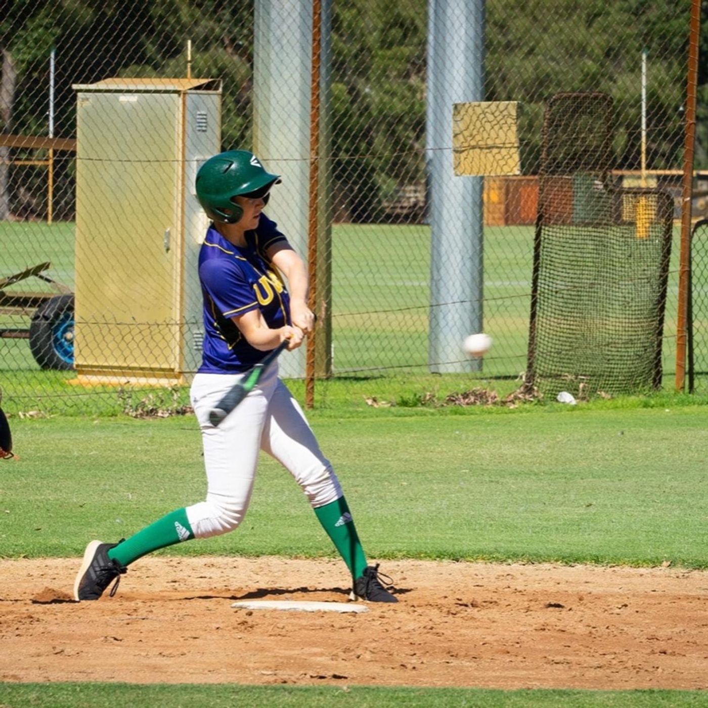 Ladywhips Baseball