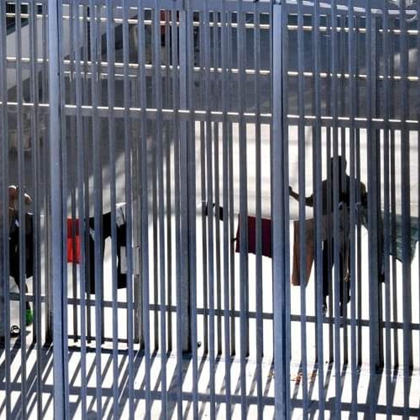 Milano: la rete contro la detenzione amministrativa dei migranti episode artwork