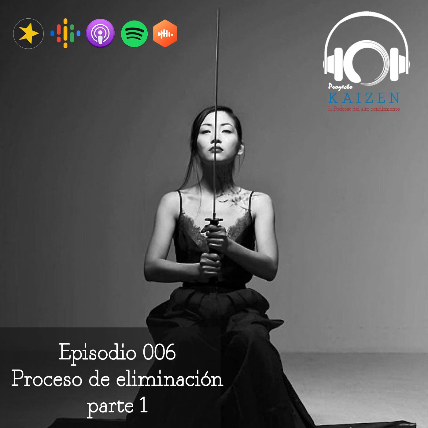 Proyecto Kaizen