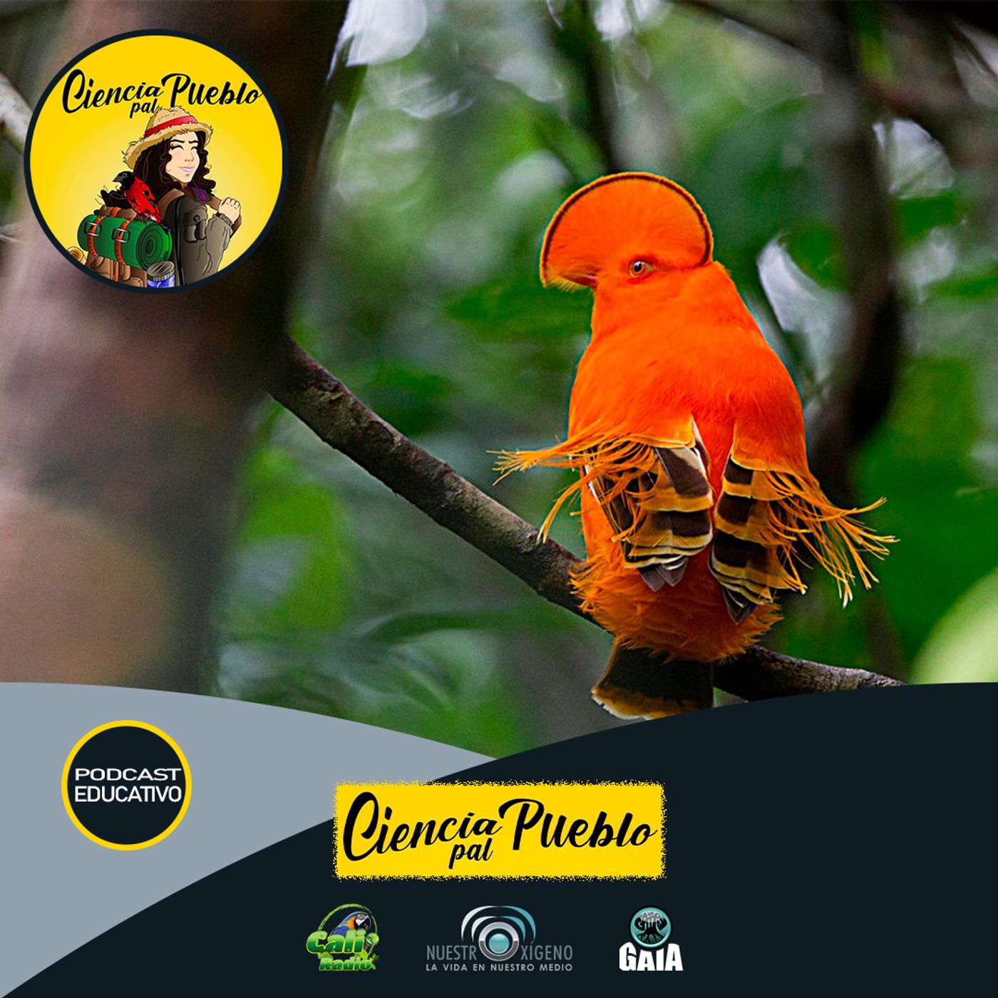 2024 Nuestro Oxigeno 03- Marzo