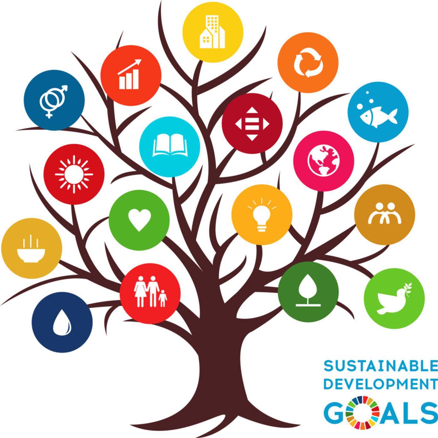 Alla scoperta dell'Agenda 2030