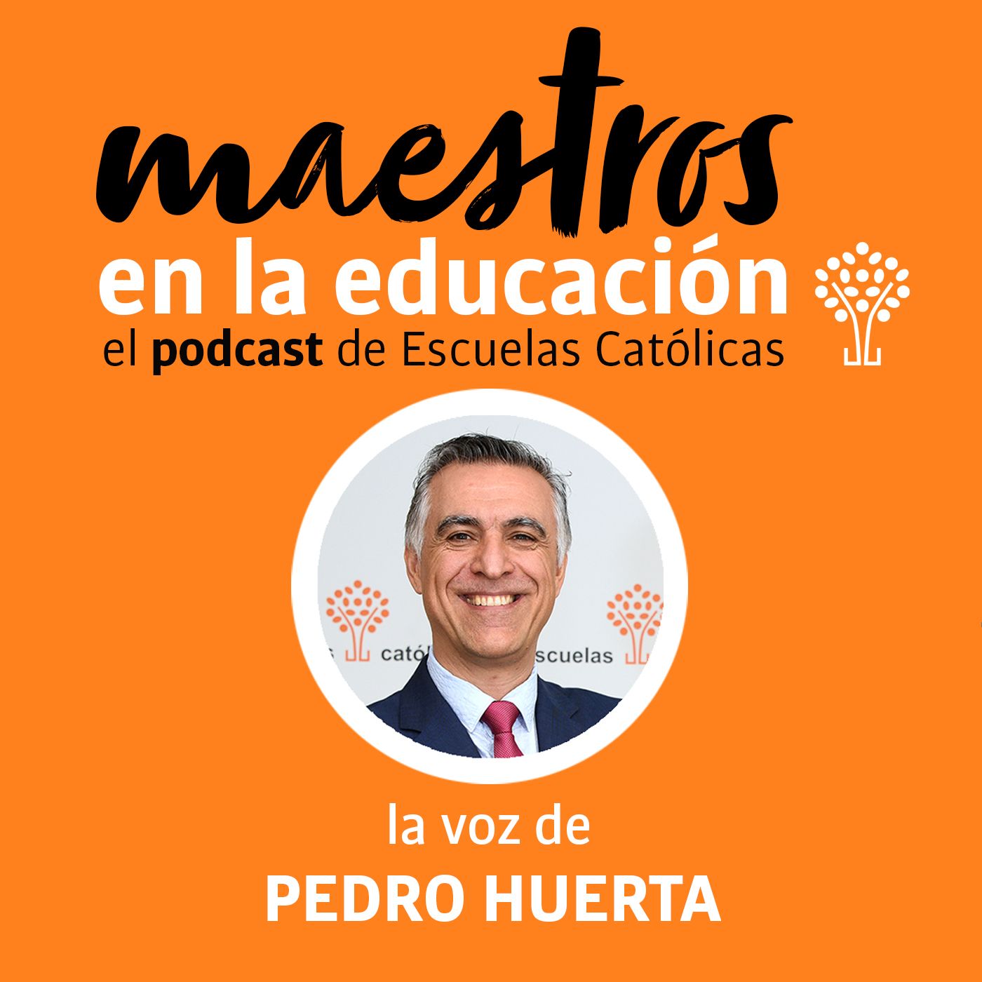 Maestros en la educación