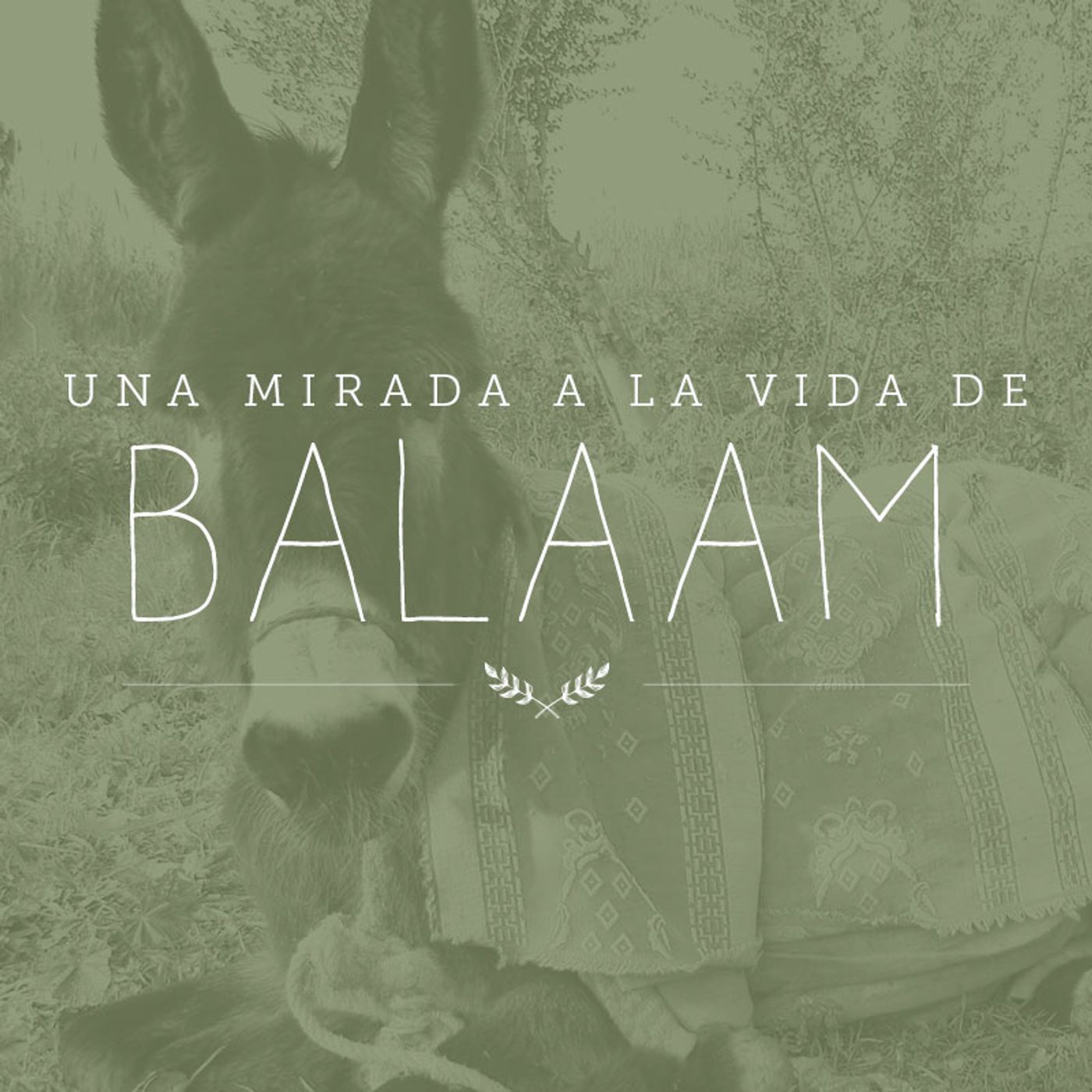 Una mirada a la vida de Balaam, día 3
