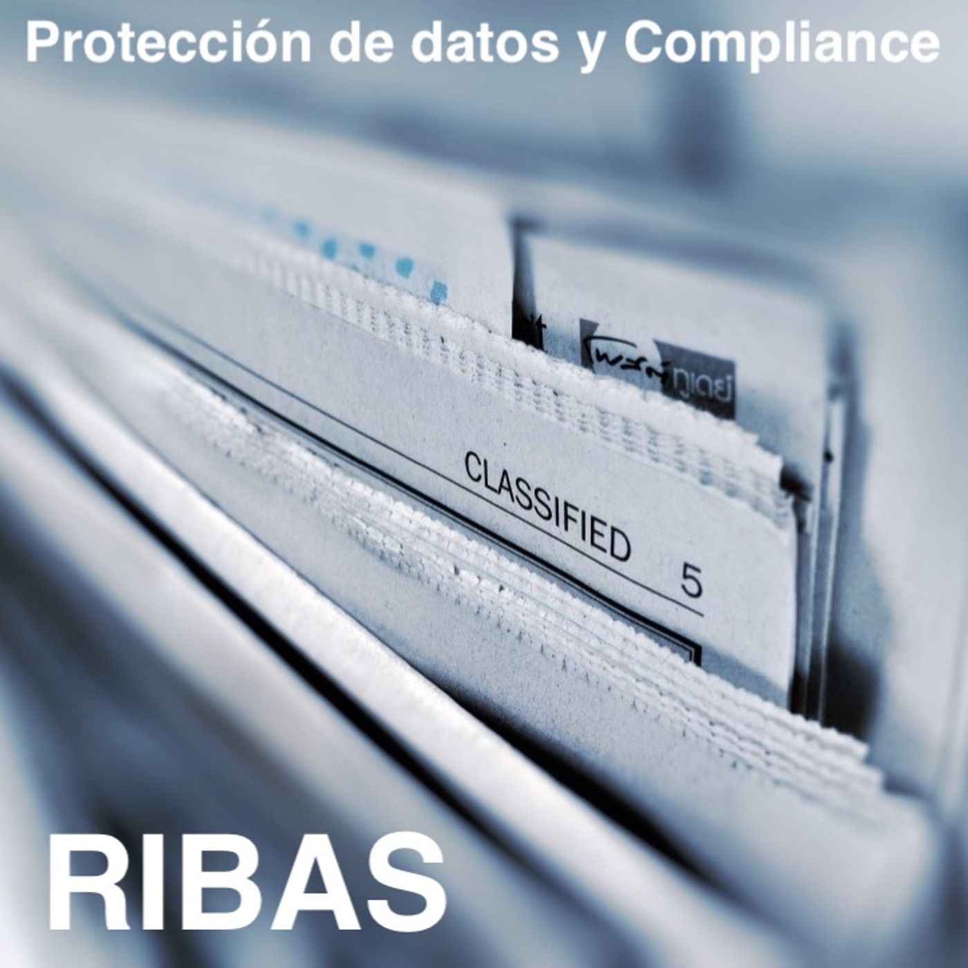 Ribas y Asociados