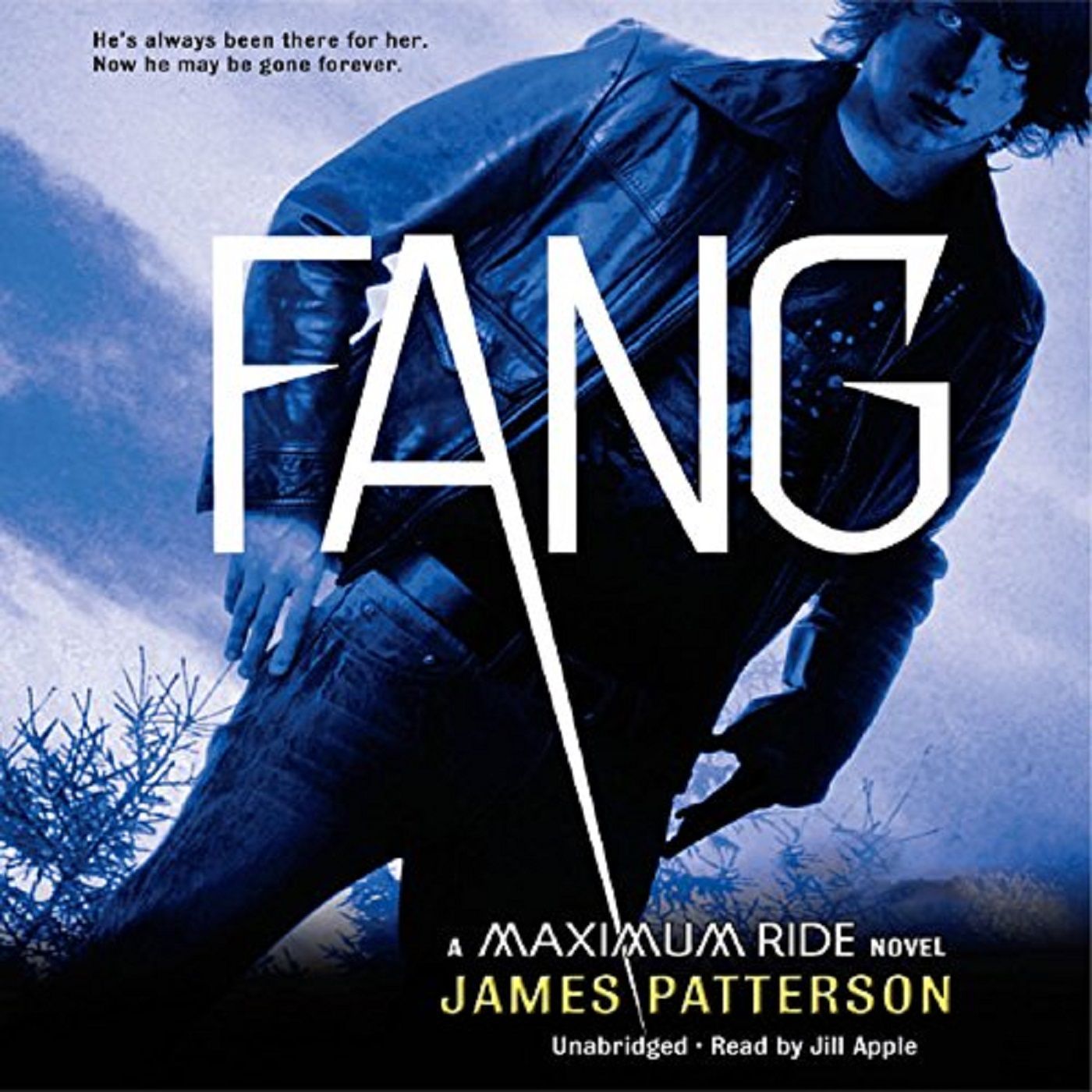 Fang by James Patterson Part 2