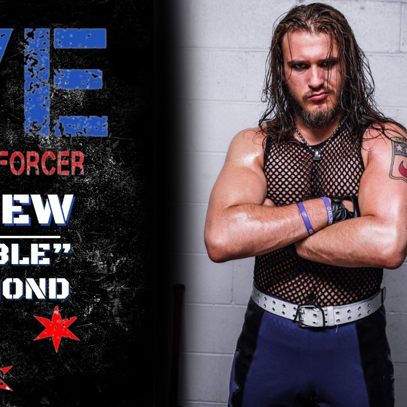 Pro Wrestling Enforcer Podcast