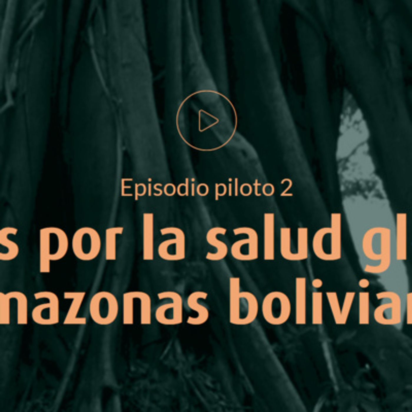 Veus, historias que sanan el mundo