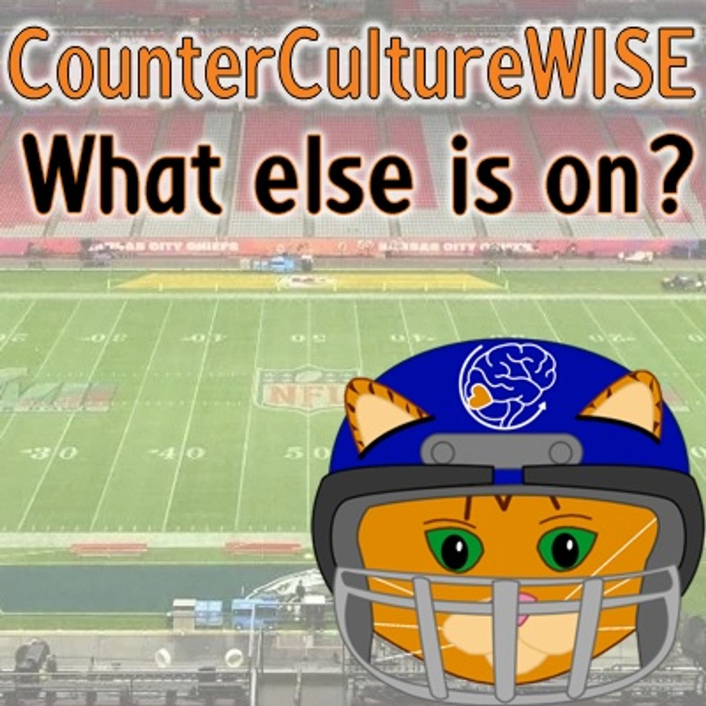 CounterCultureWISE