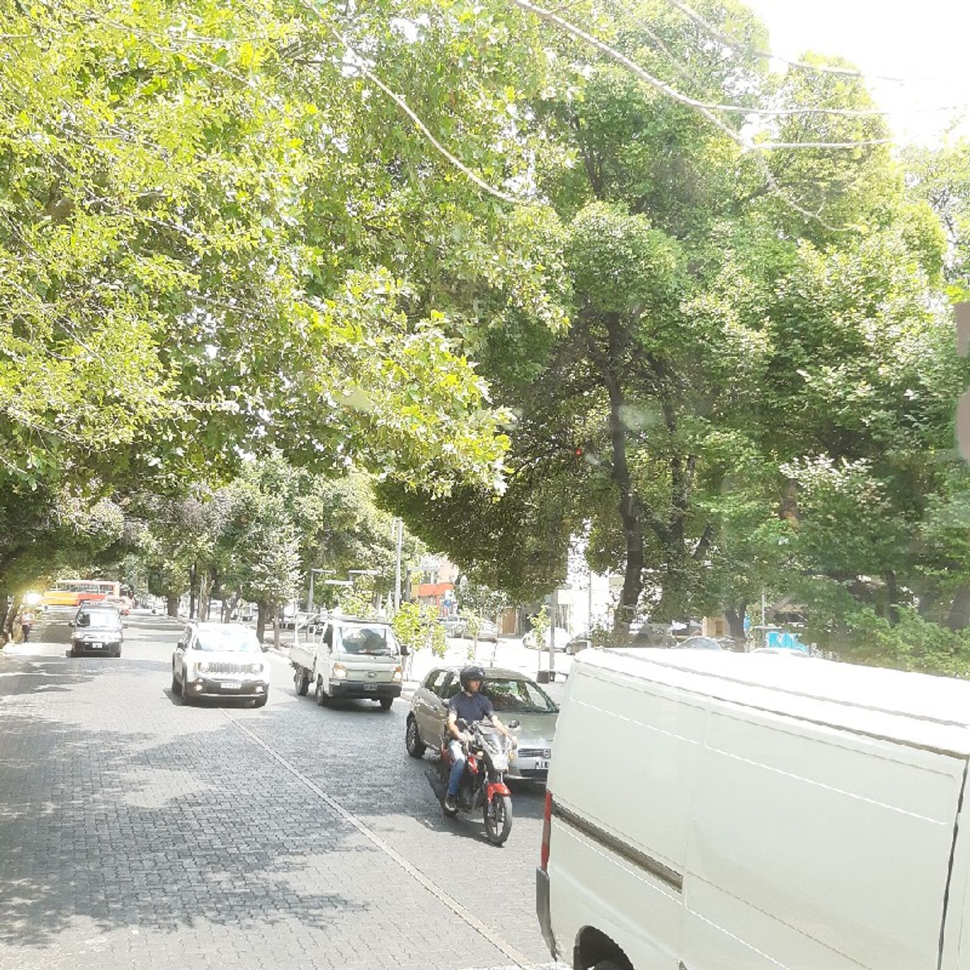 2021 Geogr. Ambiental y de la salud CUDA