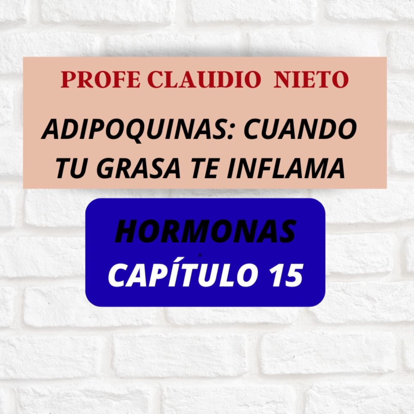 PROFE CLAUDIO NIETO