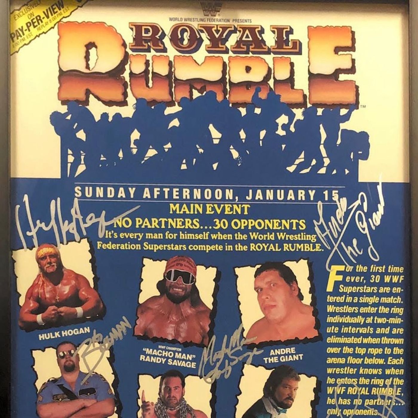 The Wrestling Retrospective: Royal Rumble 1989 episode artwork