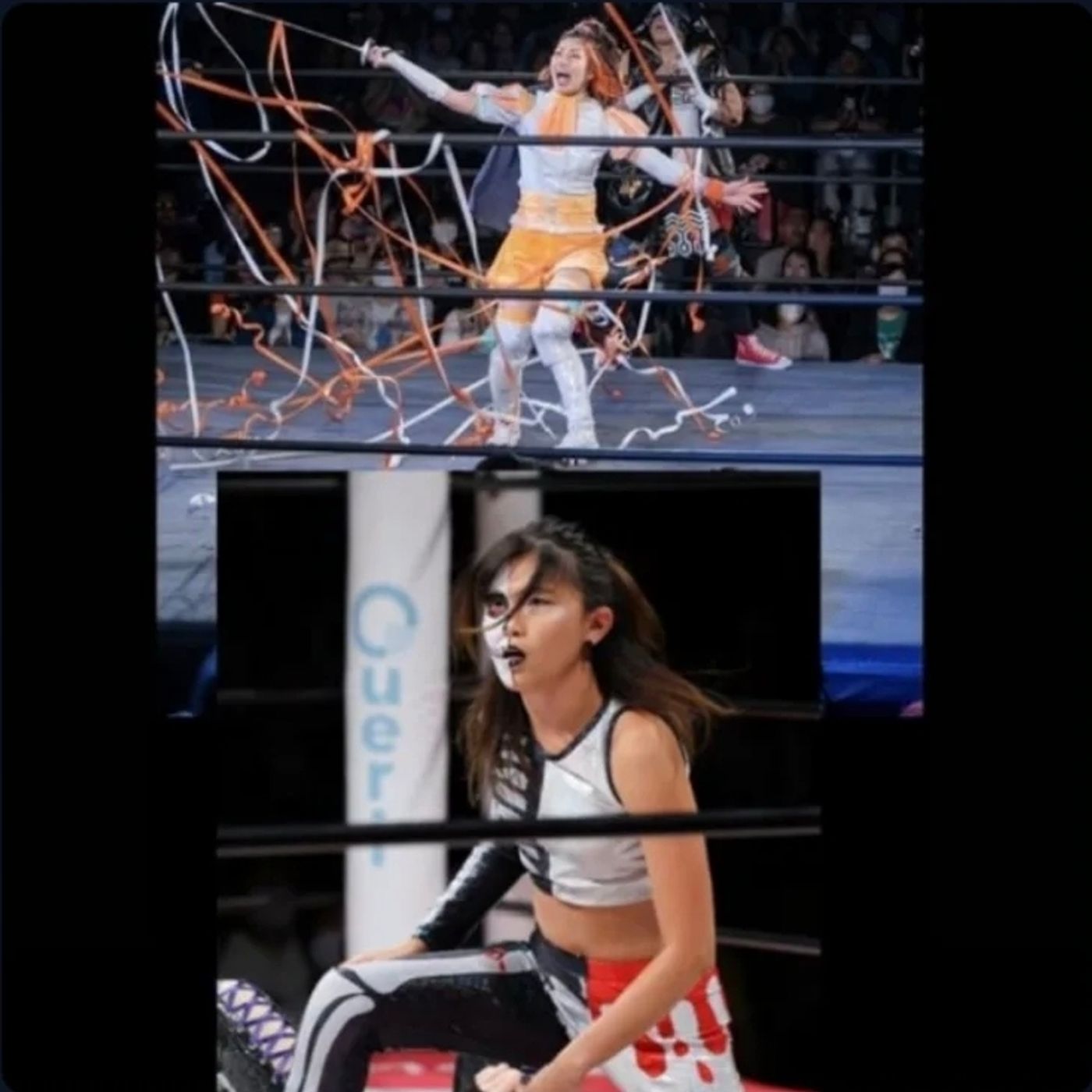 The Wrestling Enthusiast Podcast