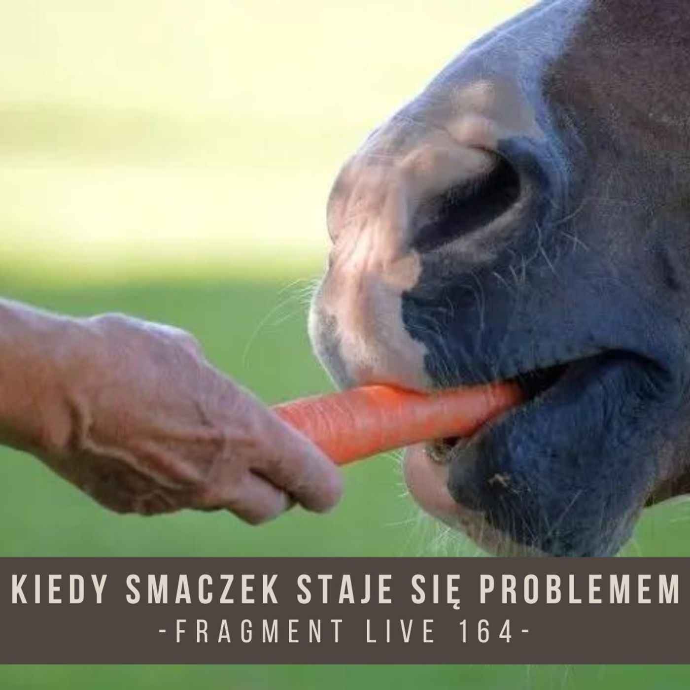 Kiedy smaczek staje się problemem - fragment live 164 episode artwork