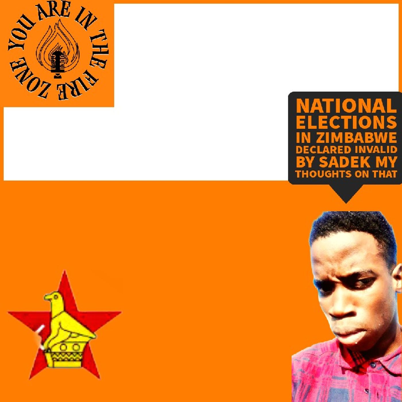 Episode 12 - You are in the fire zone. National elections in Zimbabwe declared invalid by sadek my thoughts on that episode artwork