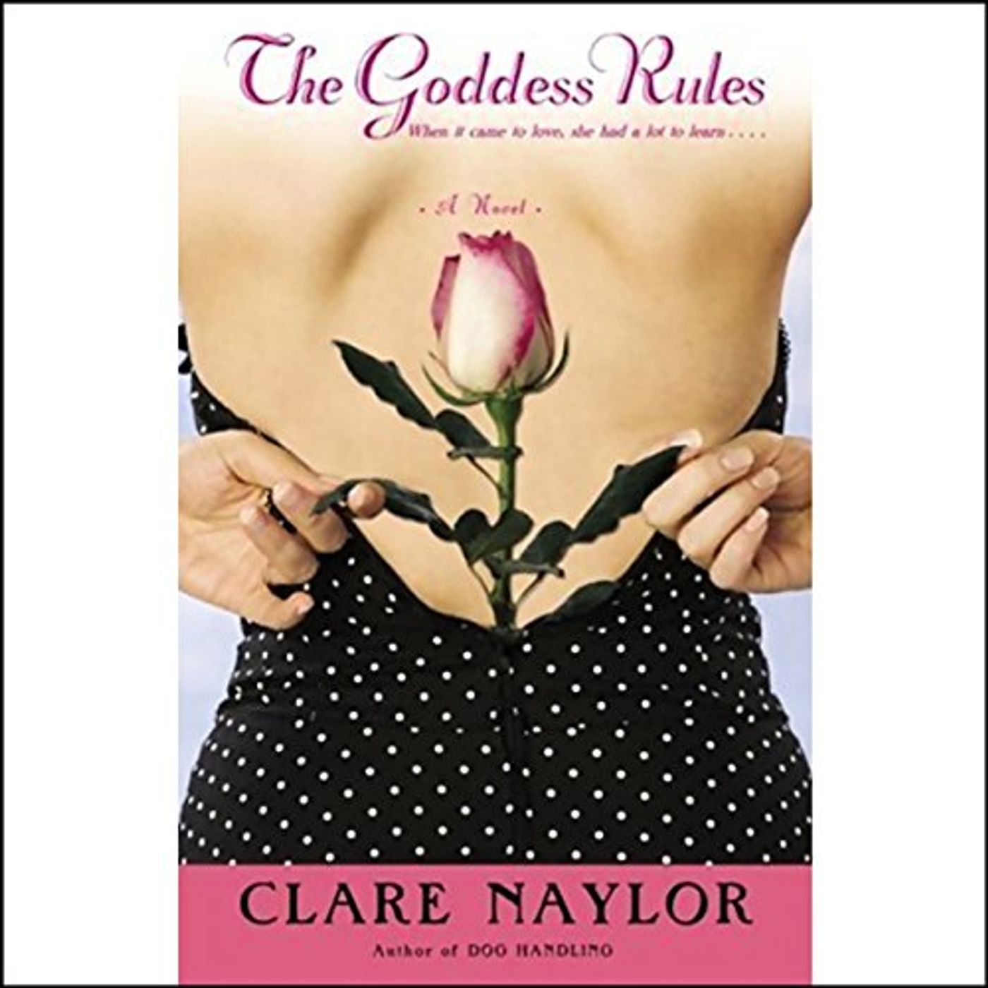 Download the Popular Authors Audiobooks in Fiction, Chick Lit