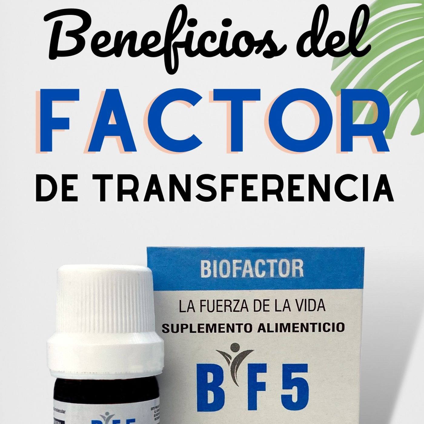 ✅ Cómo funciona el  FACTOR DE TRANSFERENCIA?