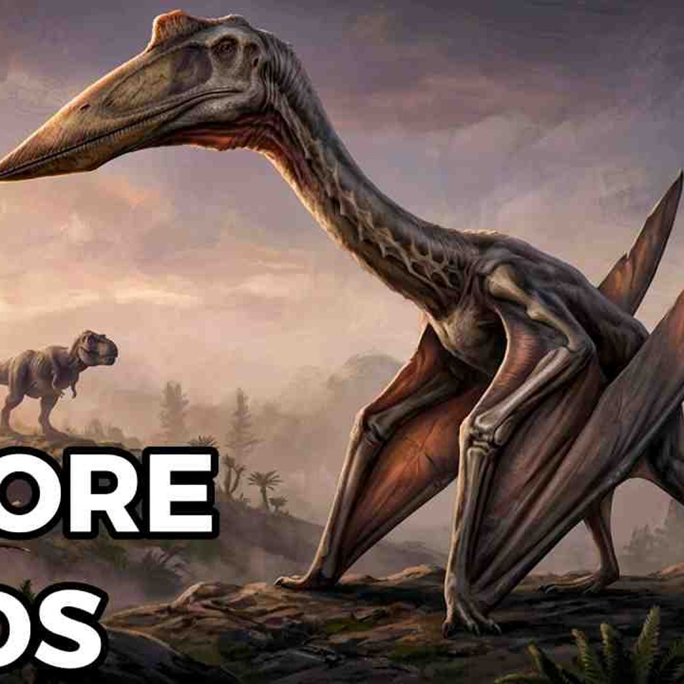 Before Birds_ The Flying Reptile Larger Than A Plane That Ruled Earth For 160M Years episode artwork