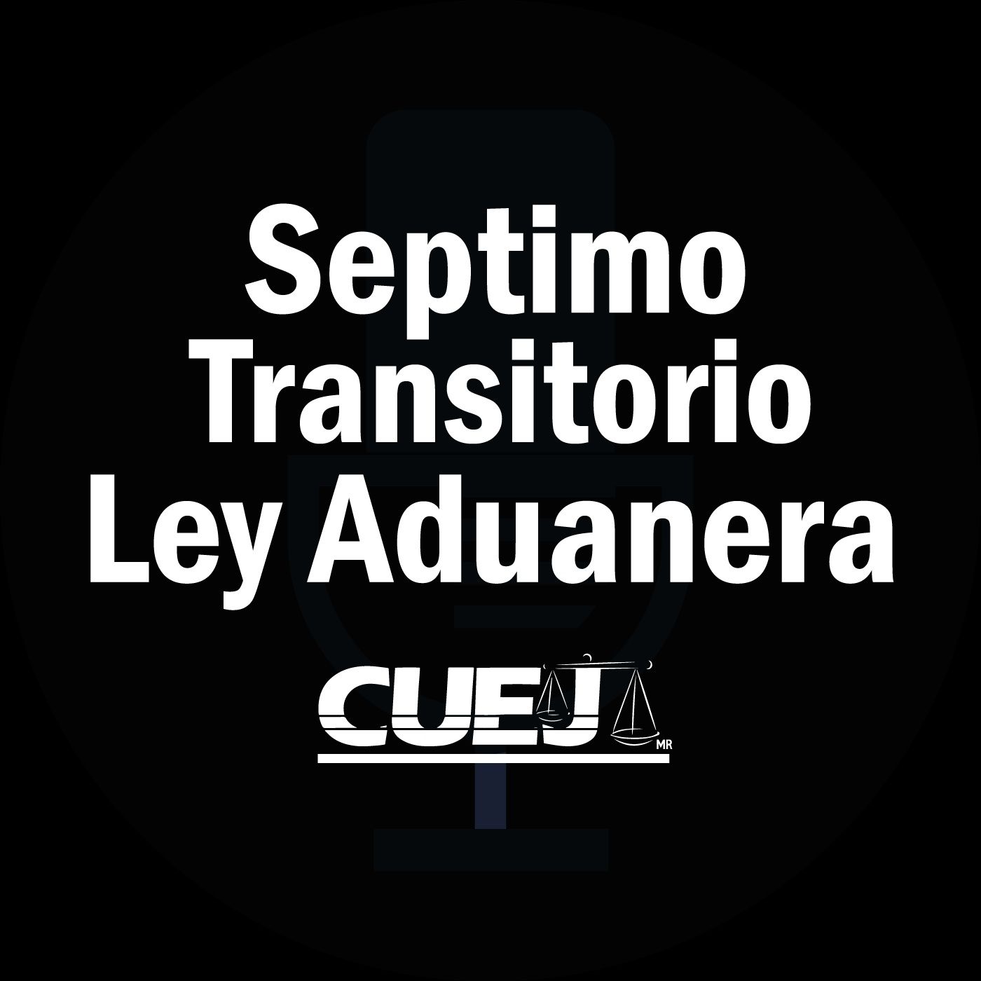Audio Ley Aduanera