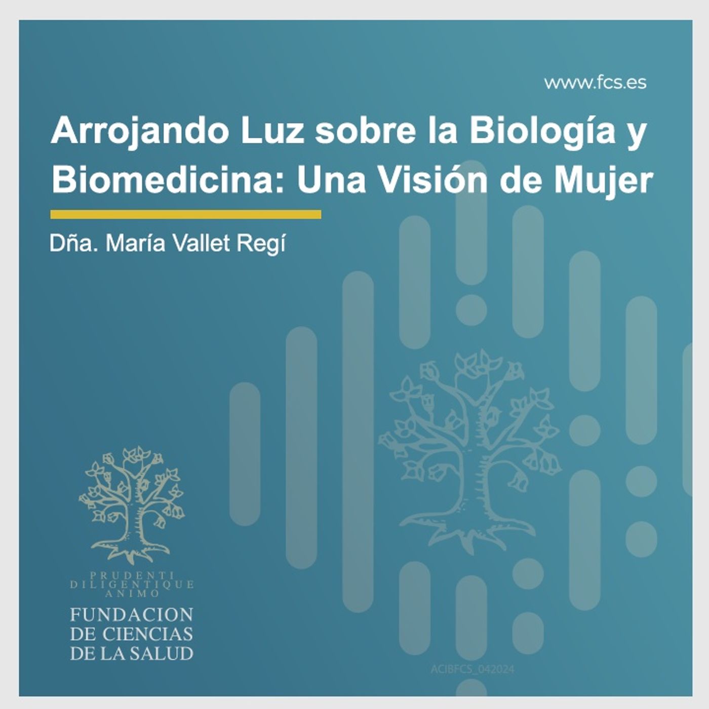 Ciencia y Tecnología: Visión de la Mujer