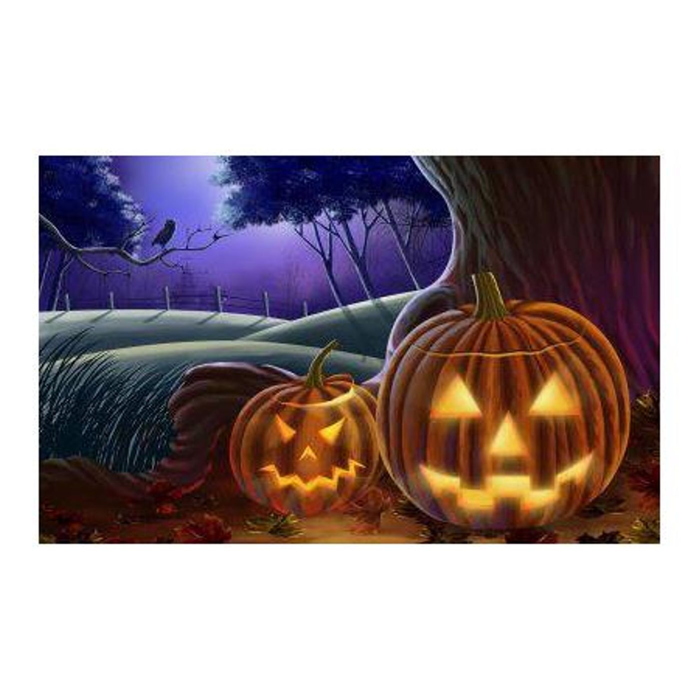 It'a a very special Paranormal night -  Host Marsha Casper Cook and Kelly Abell episode artwork