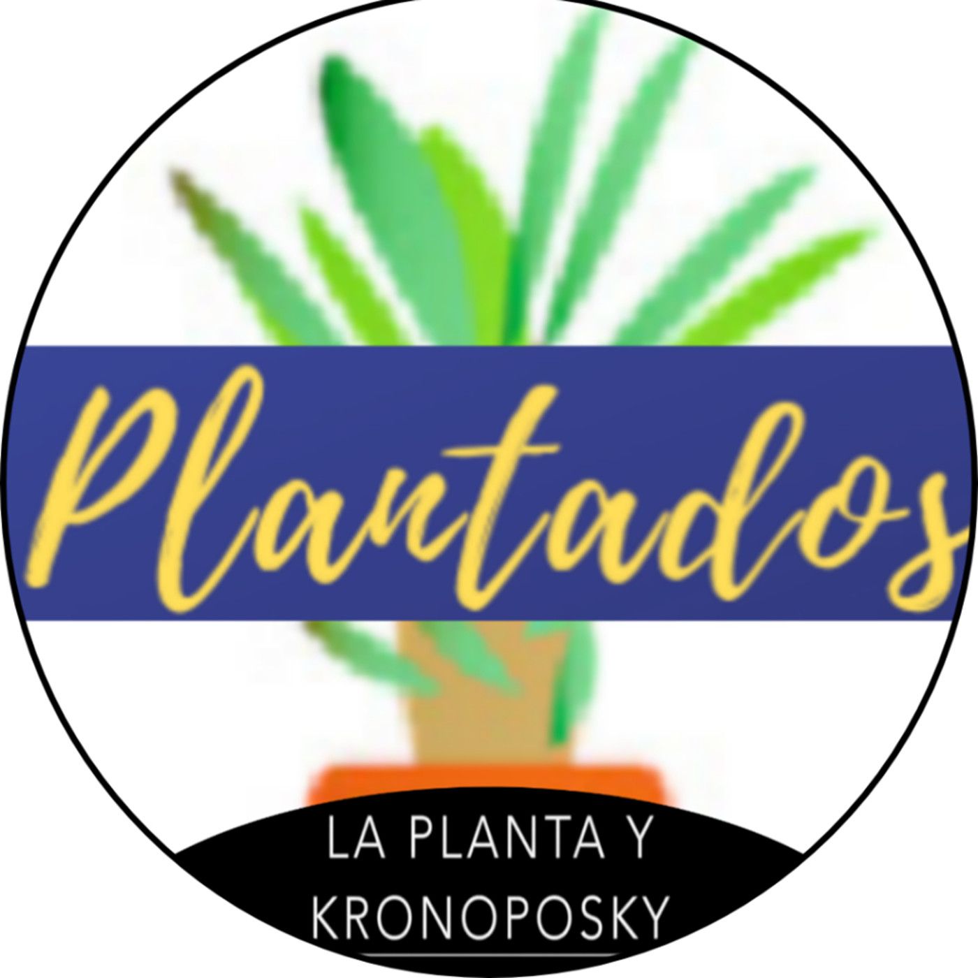 Plantados en Estocolmo