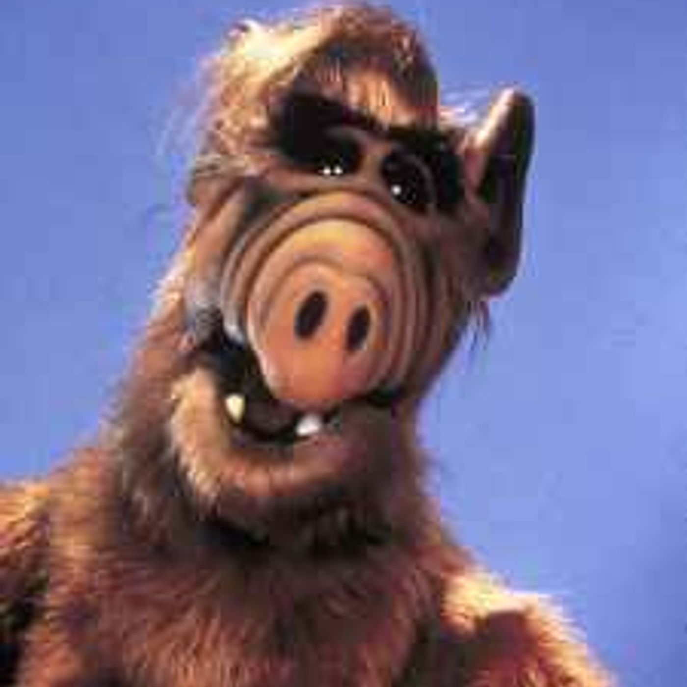 Everything 80s Patreon Feed