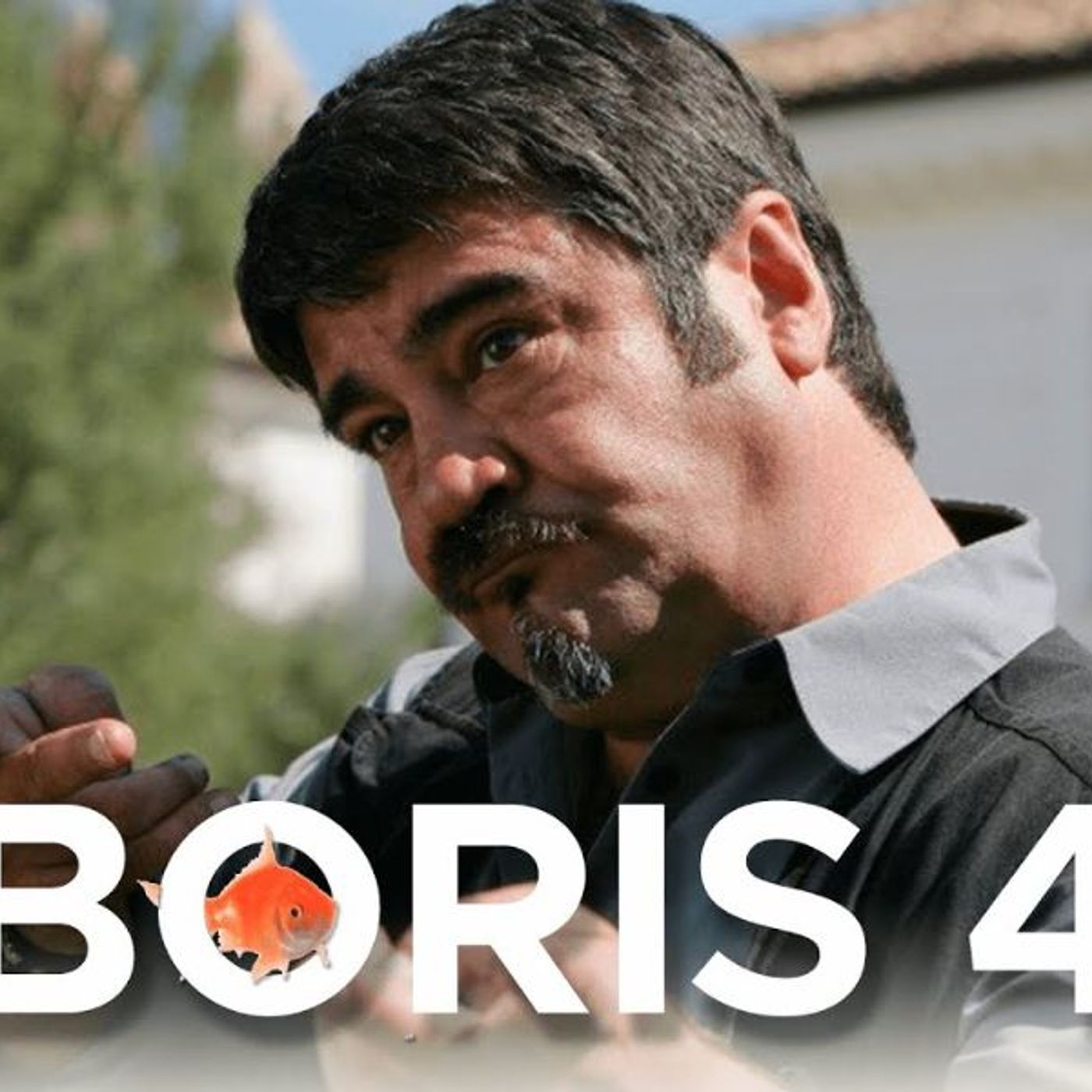 Punto di Vista su Boris 4 episode artwork