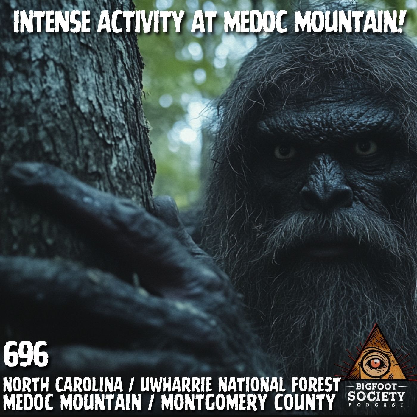 Intense Activity at Medoc Mountain! | North Carolina