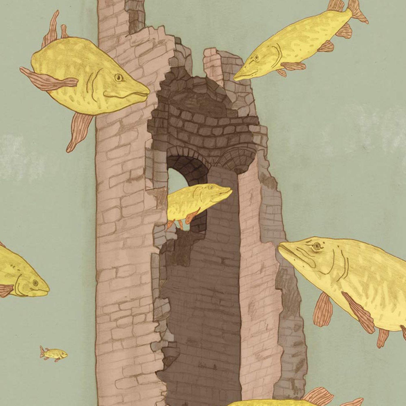 Giuseppe Festa: avventura, amore e mistero in un'estate sulle rive del lago d'Iseo, l'estate dei tredici anni..