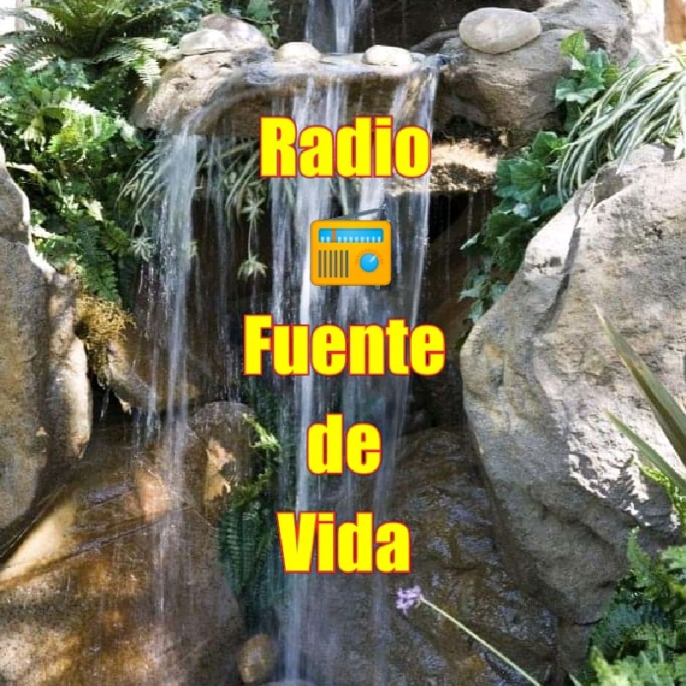 El show de Evangelista Francisco Jiménez