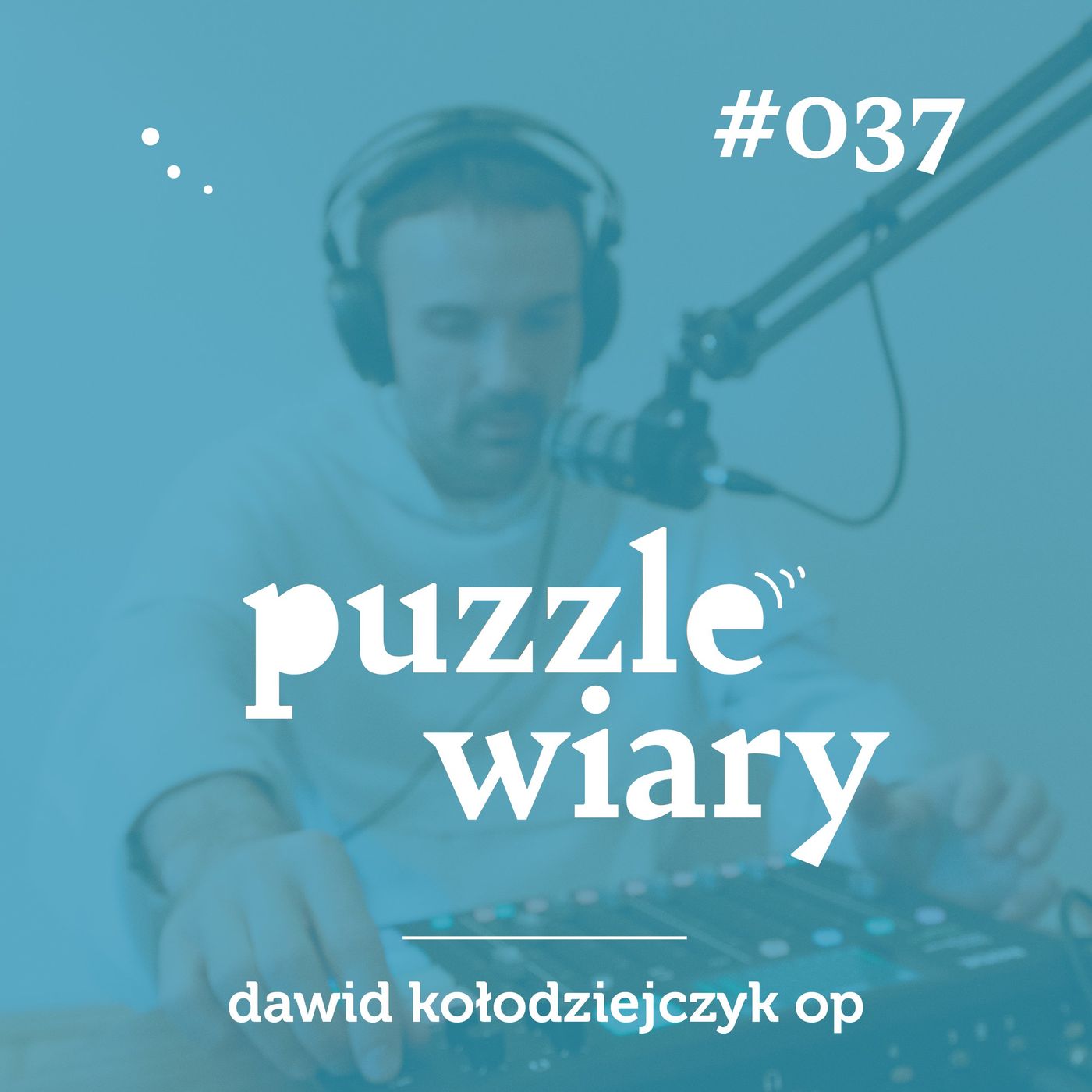 Puzzle Wiary