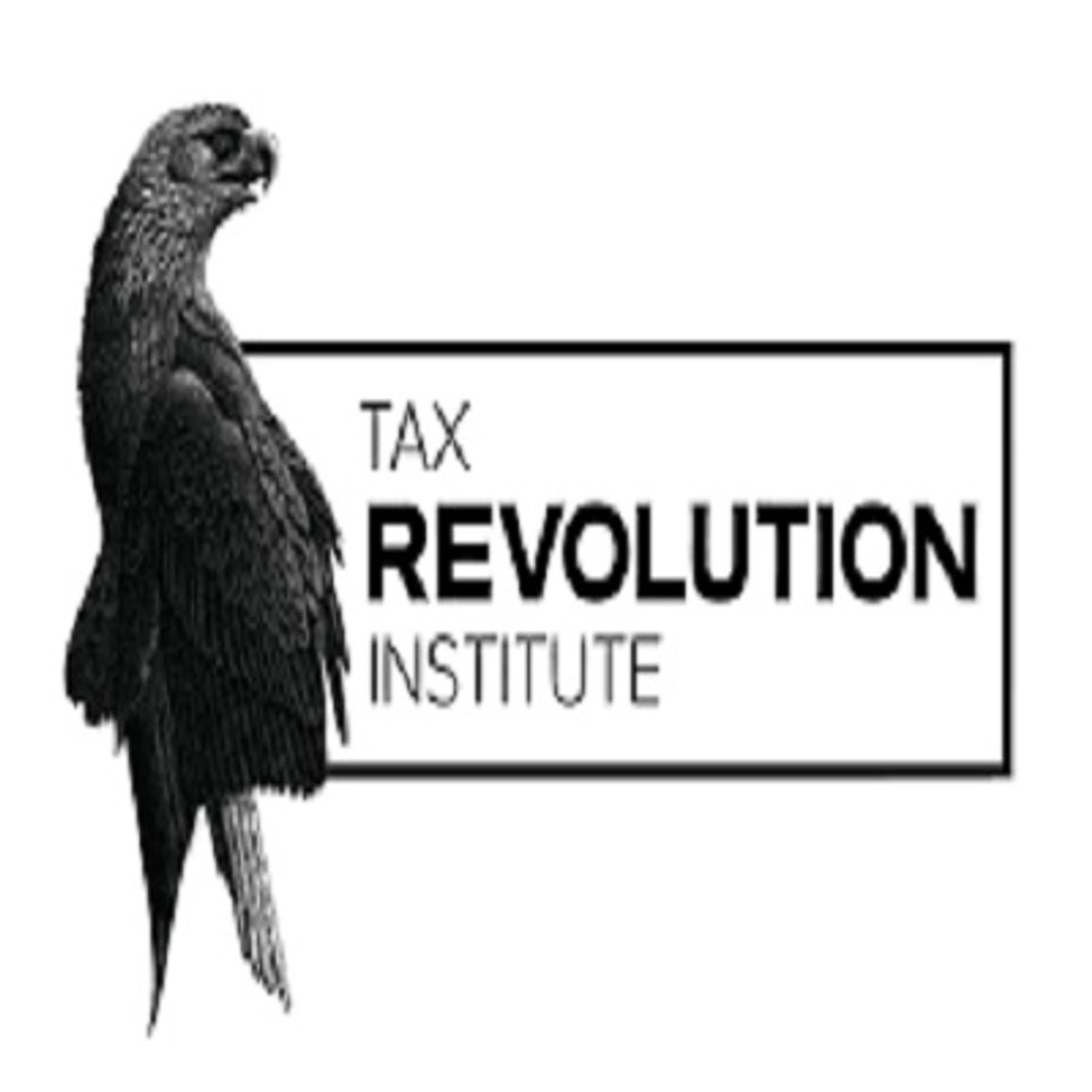 Dan Johnson Executive Director of Audit the IRS