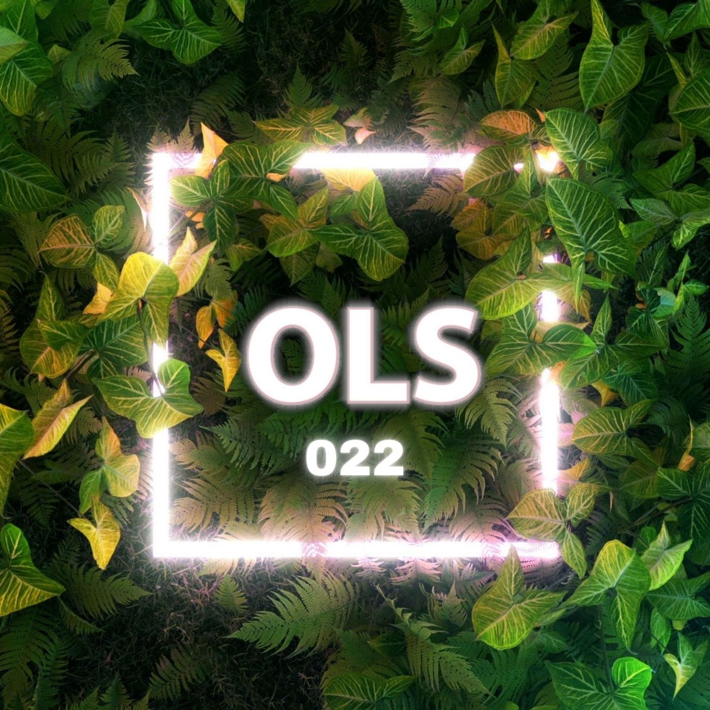 Organic Light Show