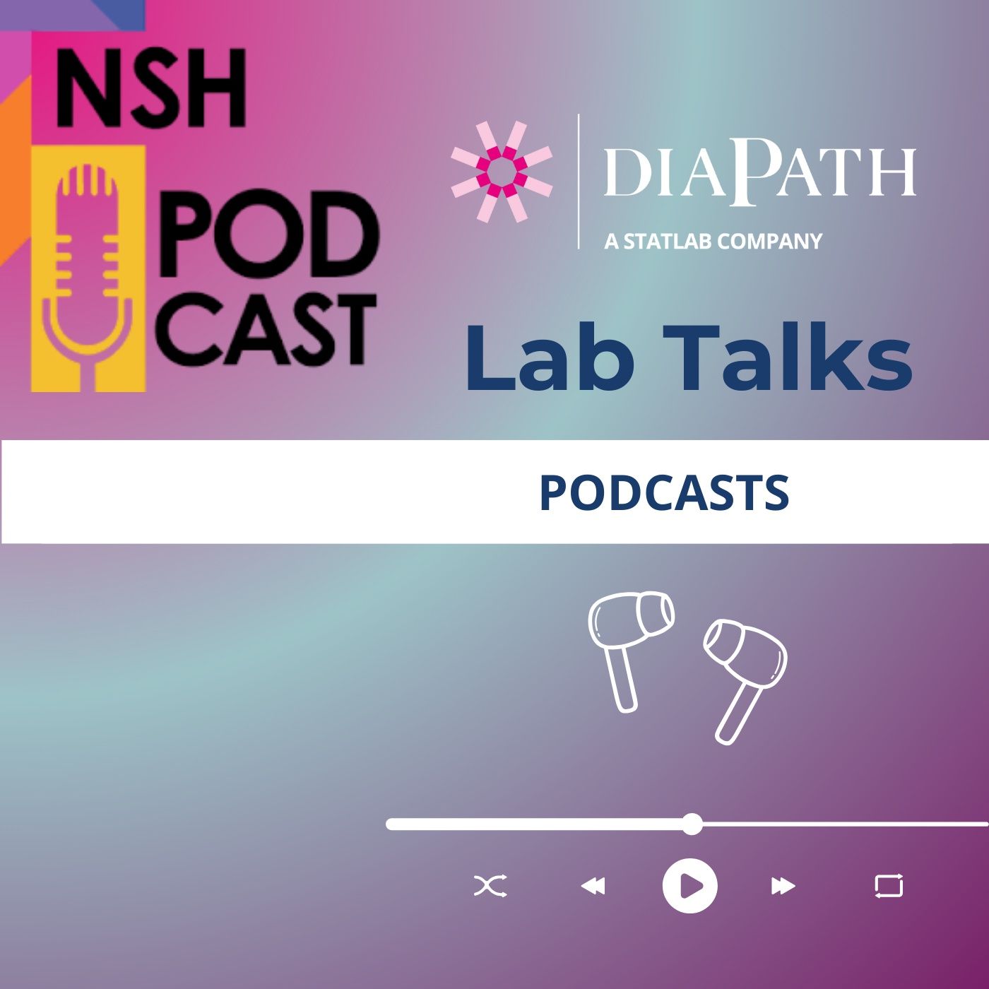 Diapath Lab Talks