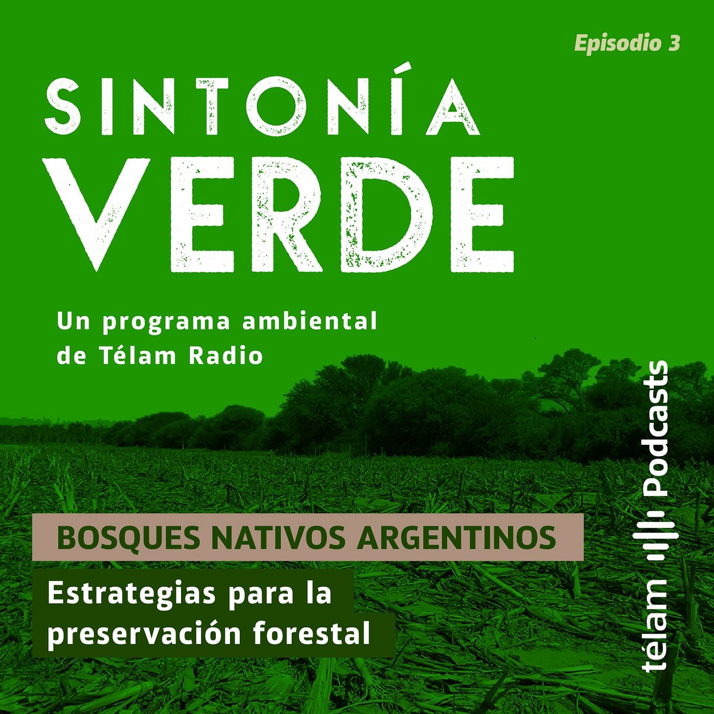 Sintonía Verde, un programa ambiental