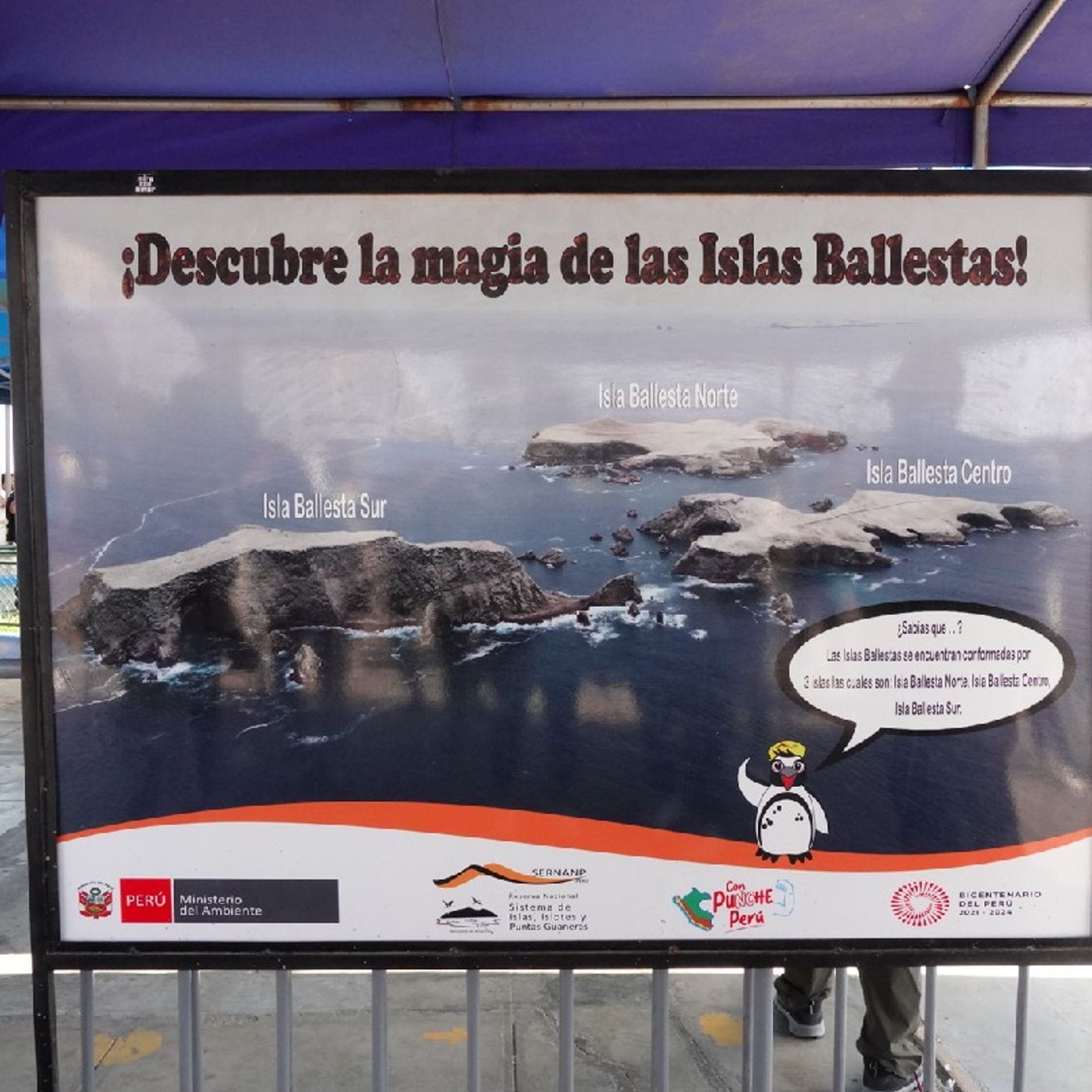 Ep405 - Diane's Tarot Diary: 我的塔羅日記 秘魯不思議•海陸空「行」透透-4(鳥島出海記)