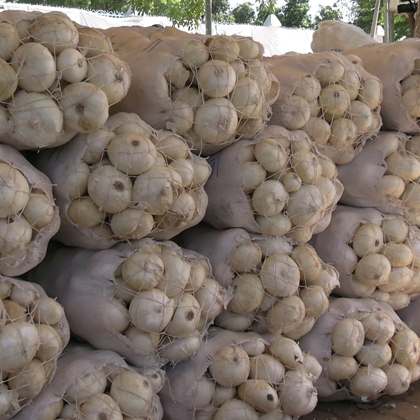 Le journal du 01 avril 2026 - Niamey: Foire aux oignons blancs - une vitrine pour les producteurs locaux episode artwork