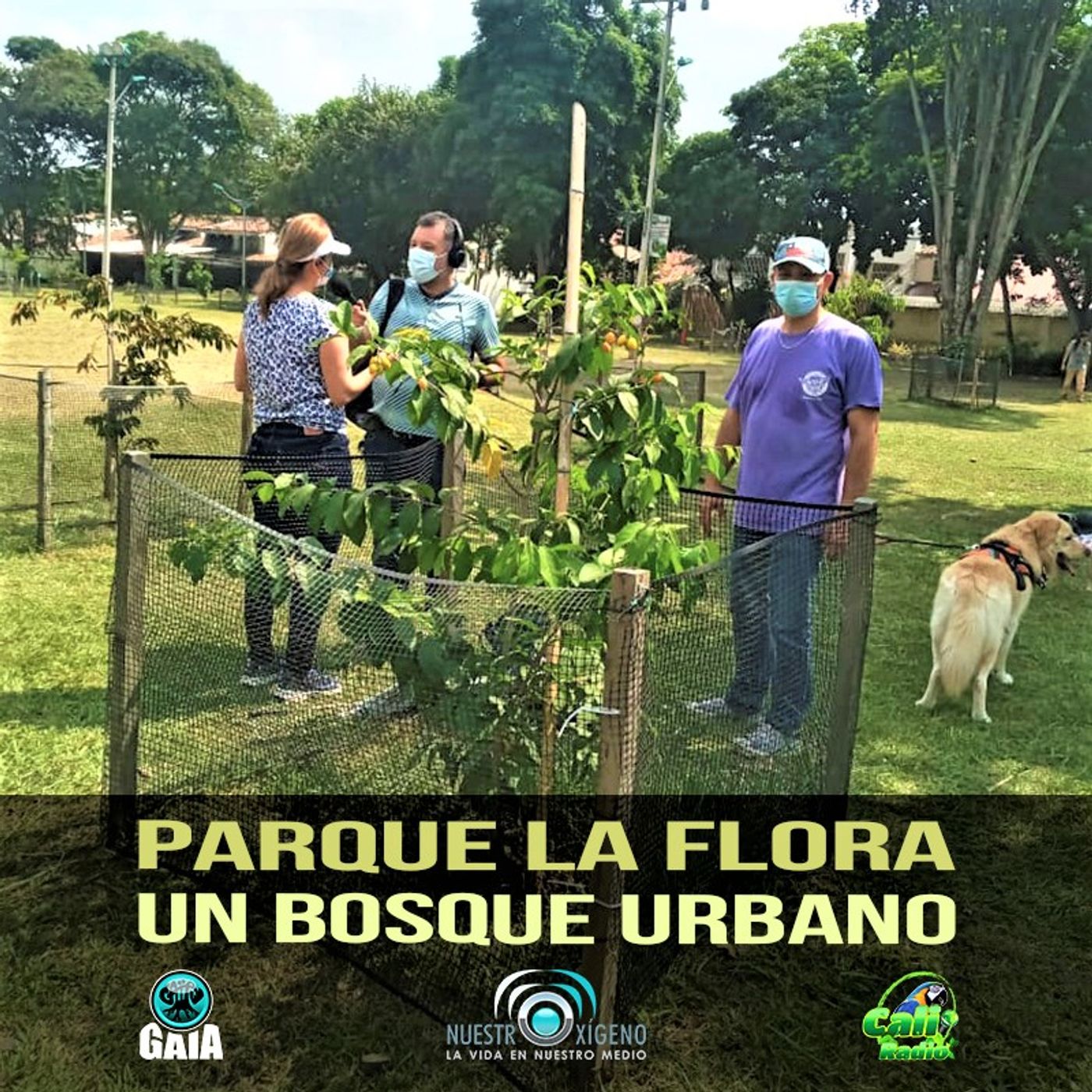 2022 Nuestro Oxigeno 02- Febrero