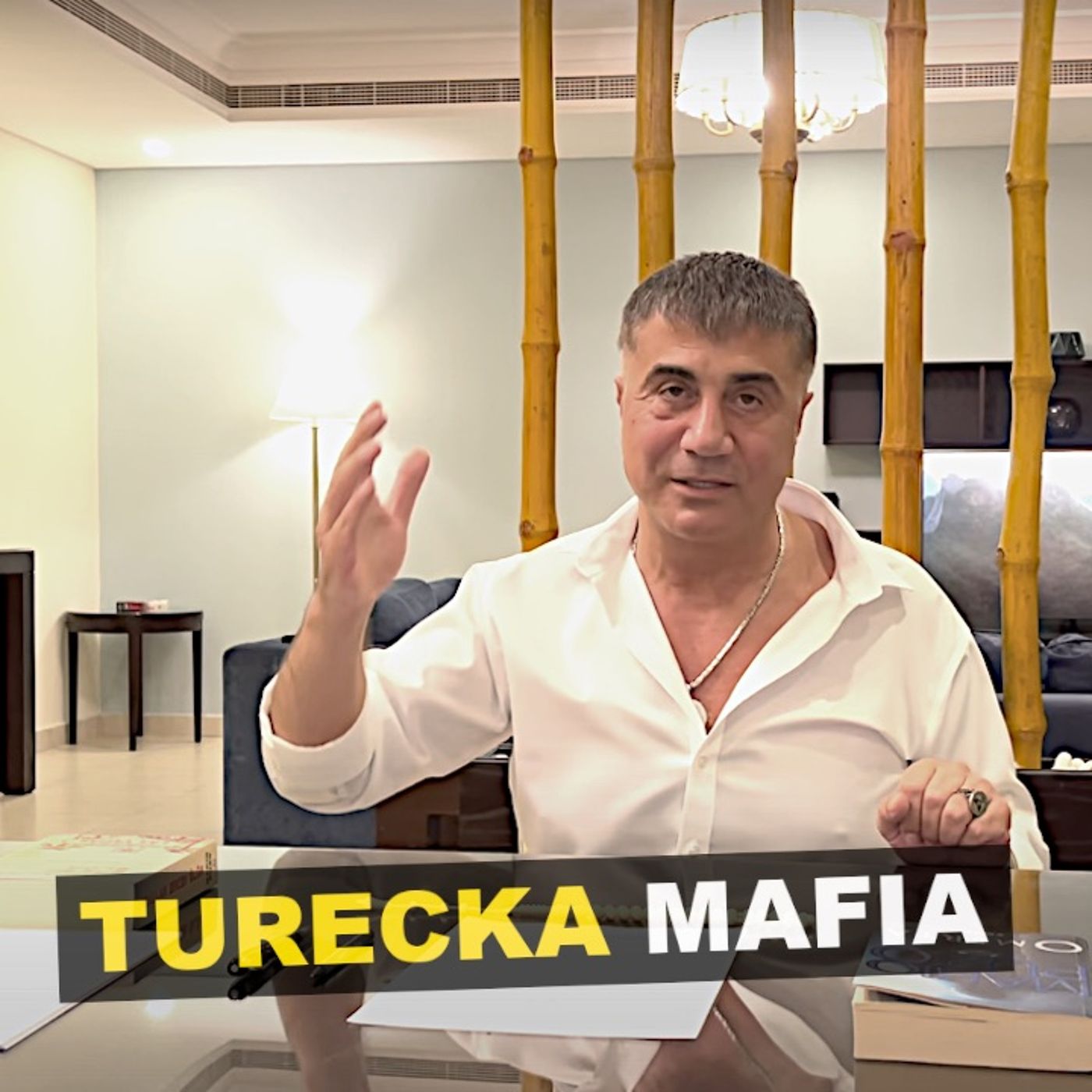 Turecka mafia - Kryminalne Opowieści Świat episode artwork