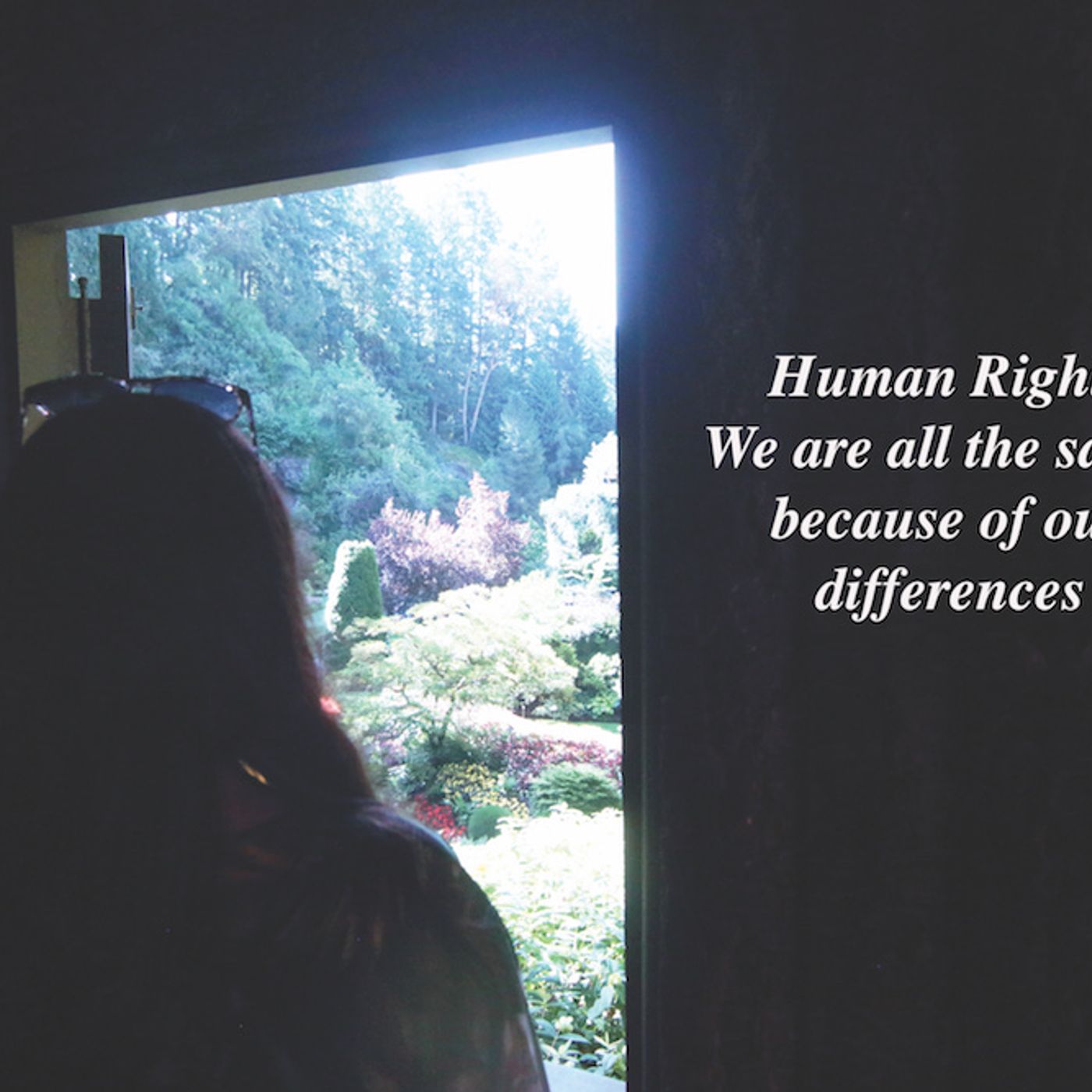 What does Human Rights Mean a United Nation Convesation including events in the Middle East