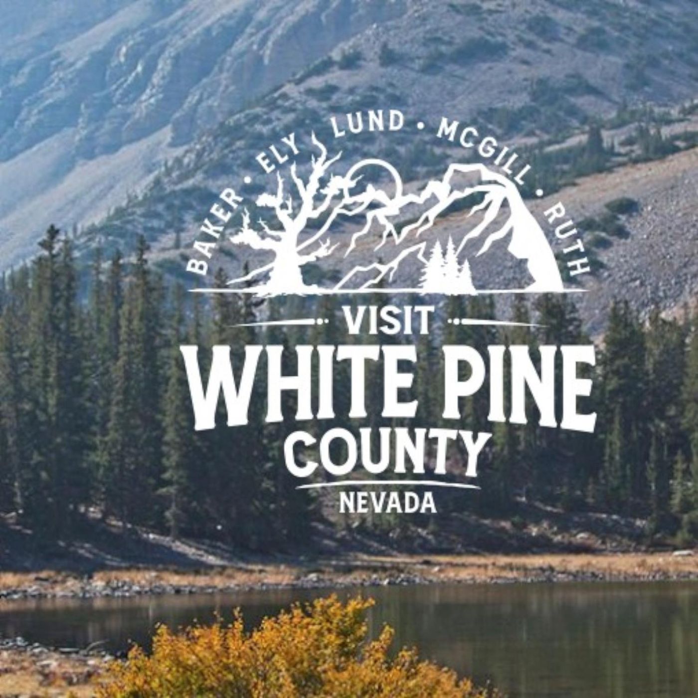 What's going on in the county - Kyle Horvath of Tourism and Recreation with the skinny episode artwork